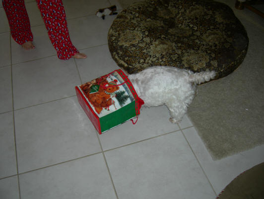 Nikki opening her Christmas Gift